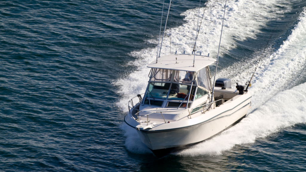 Pesca sportiva